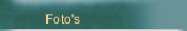 Foto's