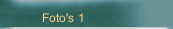 Foto's 1